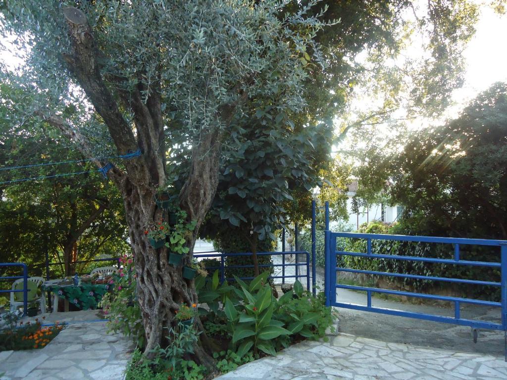 Apartments Villa Petranovic Будва Екстериор снимка